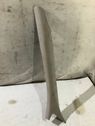 (A) pillar trim