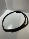 Rear door rubber seal (on body)