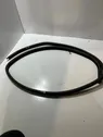 Rear door rubber seal (on body)