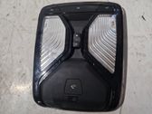 Luz del asiento delantero