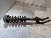 Front shock absorber/damper
