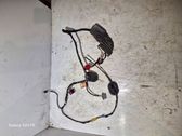 Front door wiring loom