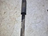 Rear shock absorber/damper