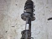 Front shock absorber with coil spring