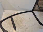 Rear door glass trim molding