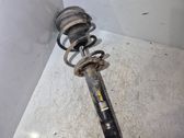 Front shock absorber with coil spring