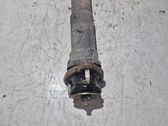 Rear shock absorber/damper