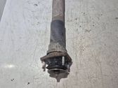 Rear shock absorber/damper