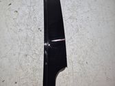 Rear door glass trim molding