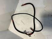 Other wiring loom