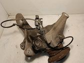 Rear wheel hub