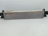 Radiador intercooler