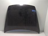 Motorhaube