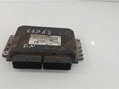 Engine control unit/module ECU