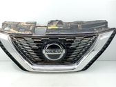 Ziergitter Motorhaube