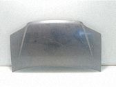 Motorhaube
