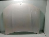 Motorhaube