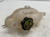 Coolant expansion tank/reservoir