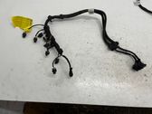 Other wiring loom