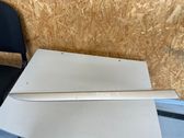 Front door trim (molding)