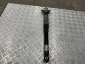 Rear shock absorber/damper