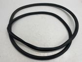 Rear door rubber seal (on body)