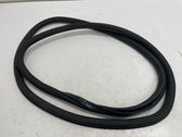 Front door rubber seal