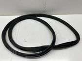 Front door rubber seal