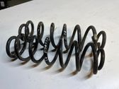 Rear coil spring