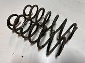 Rear coil spring