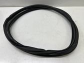 Rear door rubber seal (on body)