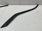 Fender trim (molding)