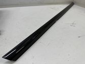 Rear door glass trim molding