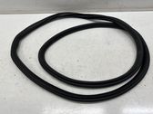 Front door rubber seal