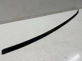 Roof trim bar molding cover