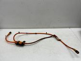 Brake wiring harness