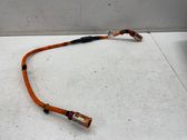 Brake wiring harness