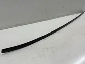 Roof trim bar molding cover