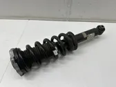 Rear shock absorber/damper