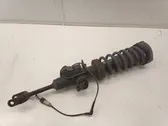 Front shock absorber with coil spring