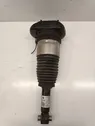 Air suspension rear shock absorber