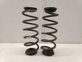 Rear coil spring