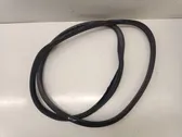 Front door rubber seal