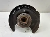 Rear wheel hub