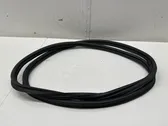 Trunk rubber seal (body)