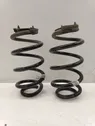 Rear coil spring