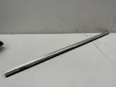 Rear door glass trim molding