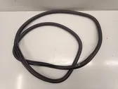 Rear door rubber seal (on body)