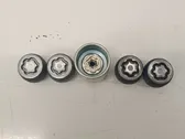 Anti-theft wheel nuts and lock