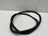 Front door rubber seal